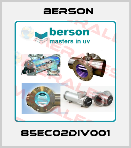 85EC02DIV001 Berson