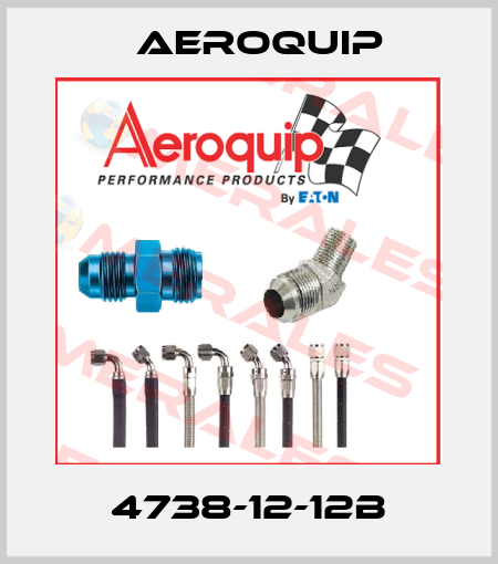 4738-12-12B Aeroquip