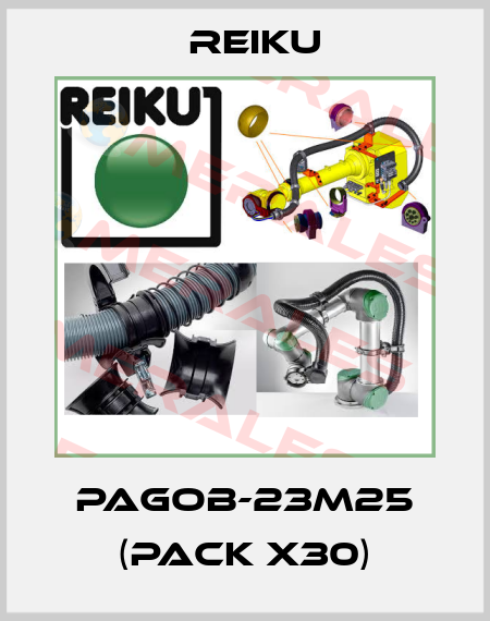 PAGOB-23M25 (pack x30) REIKU
