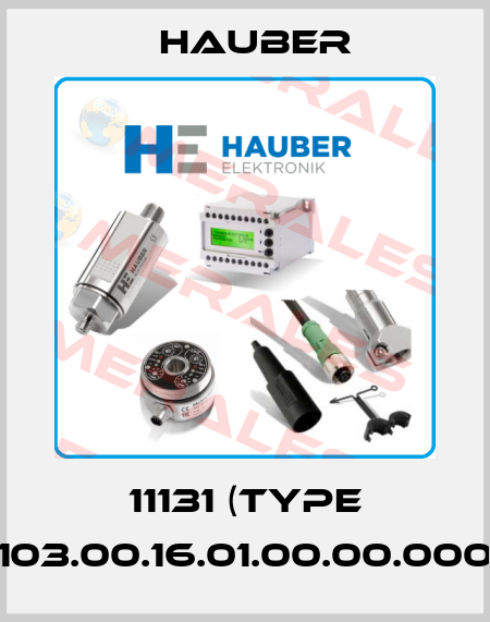 11131 (Type HE103.00.16.01.00.00.000-S) HAUBER