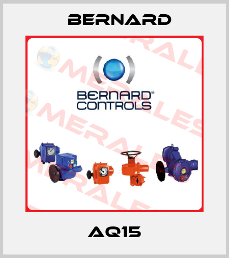 AQ15 Bernard