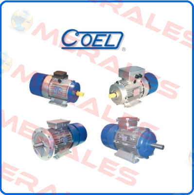 Type: H63A4 3441 Coel