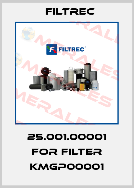 25.001.00001 for filter KMGP00001 Filtrec