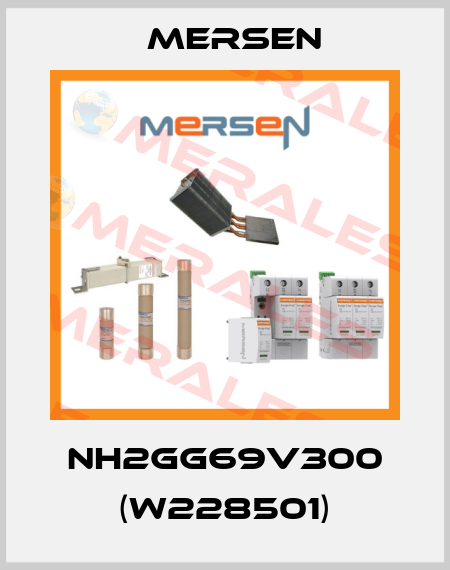 NH2GG69V300 (W228501) Mersen
