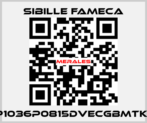 VDP1036P0815DVECGBMTKRI1T Sibille Fameca
