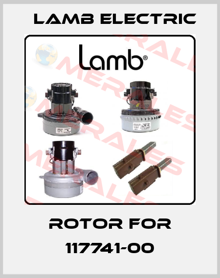 Rotor for 117741-00 Lamb Electric