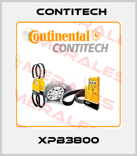 XPB3800 Contitech