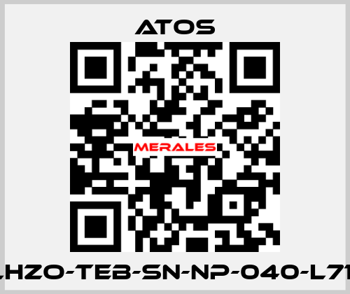 DLHZO-TEB-SN-NP-040-L71/B Atos