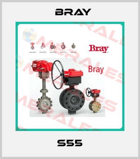 S55 Bray