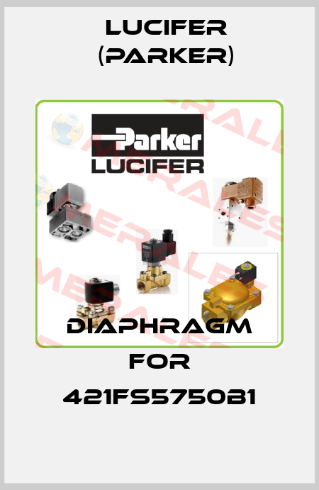 Diaphragm for 421FS5750B1 Lucifer (Parker)