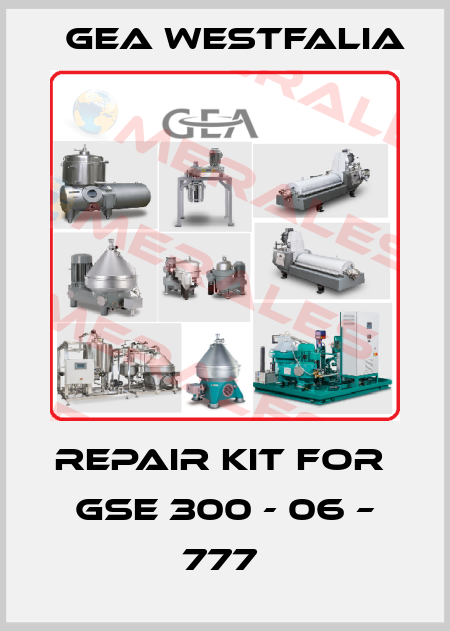 REPAIR KIT FOR  GSE 300 - 06 – 777  Gea Westfalia