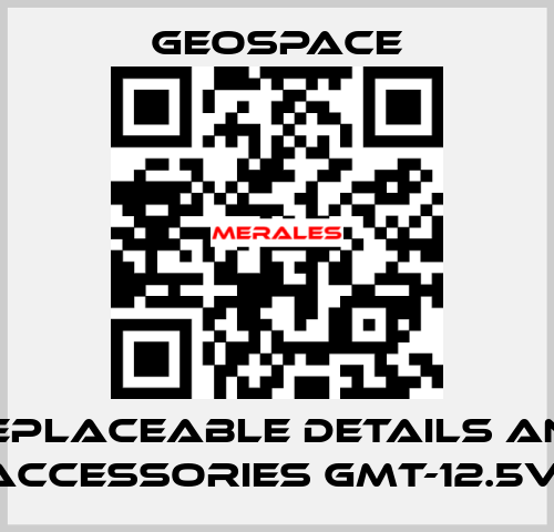 REPLACEABLE DETAILS AND ACCESSORIES GMT-12.5V  GeoSpace