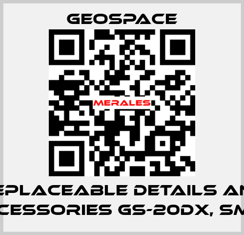 REPLACEABLE DETAILS AND ACCESSORIES GS-20DX, SM-4  GeoSpace