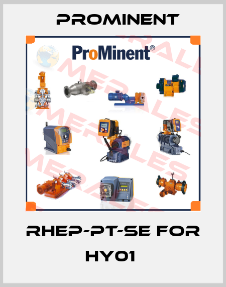 RHEP-Pt-SE for HY01  ProMinent