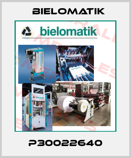 P30022640 Bielomatik