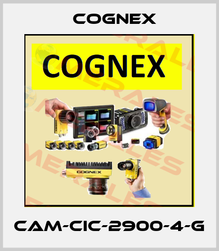 CAM-CIC-2900-4-G Cognex