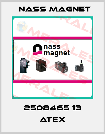 2508465 13 ATEX Nass Magnet