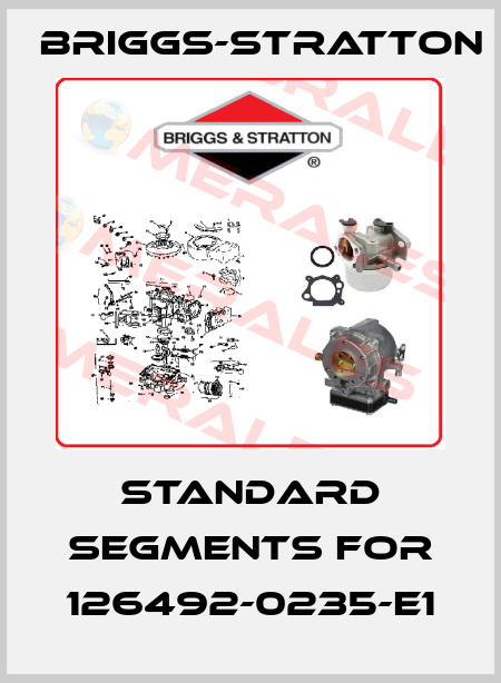Standard Segments For 126492-0235-E1 Briggs-Stratton