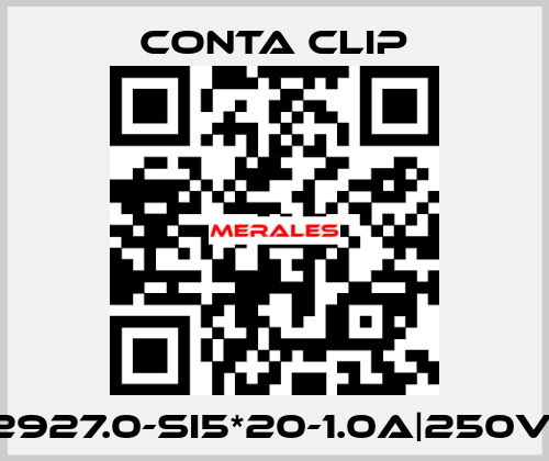 2927.0-SI5*20-1.0A|250V| Conta Clip