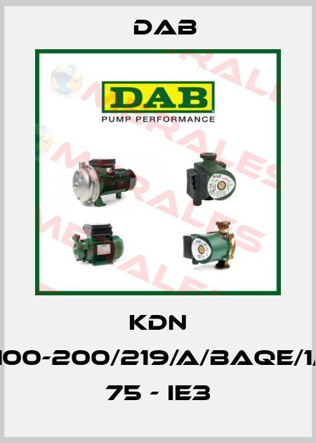 KDN 100-200/219/A/BAQE/1/ 75 - IE3 DAB
