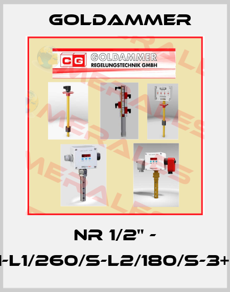 NR 1/2" - L300-01-L1/260/S-L2/180/S-3+PE-24V Goldammer