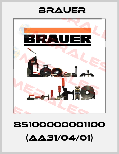 85100000001100  (AA31/04/01) Brauer