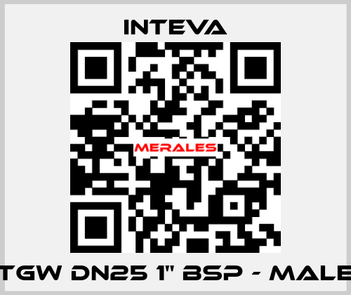 TGW DN25 1" BSP - male Inteva