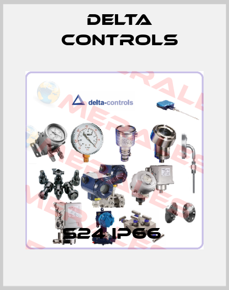S24 IP66  Delta Controls