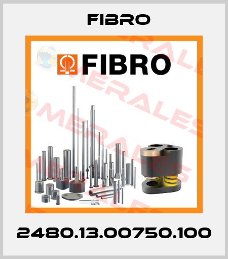 2480.13.00750.100 Fibro