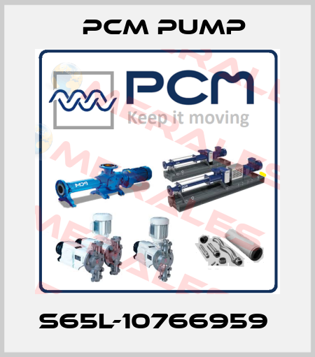 S65L-10766959  PCM Pump