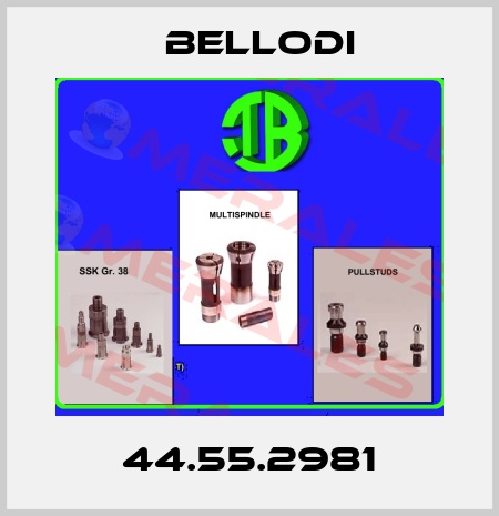 44.55.2981 Bellodi