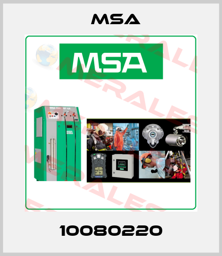 10080220 Msa