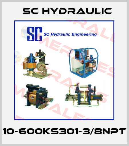 10-600KS301-3/8NPT SC Hydraulic