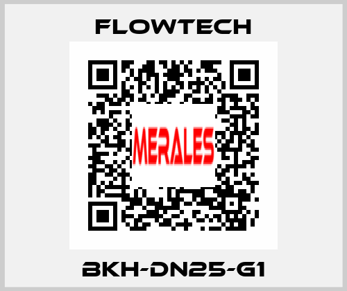 BKH-DN25-G1 Flowtech