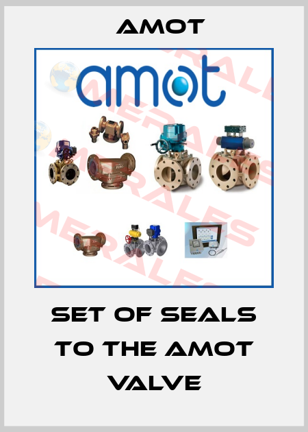 Set of seals to the Amot valve Amot