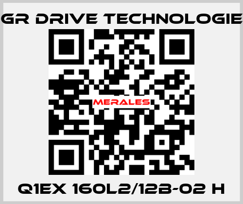 Q1EX 160L2/12B-02 H PGR Drive Technologies