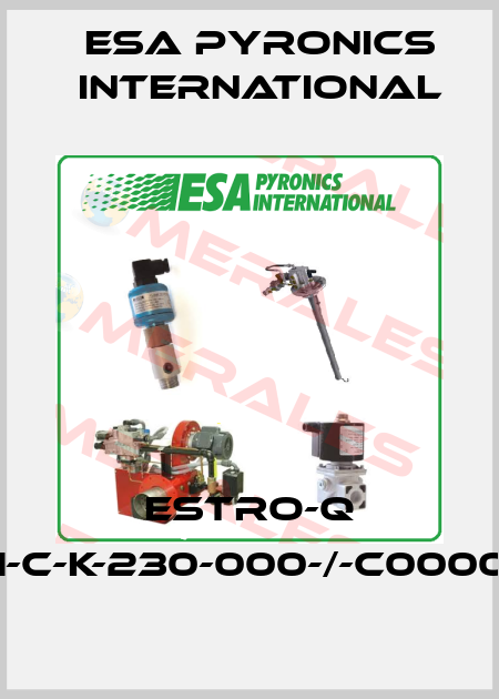 Estro-Q A-001-07-01-C-K-230-000-/-C000000///10004 ESA Pyronics International