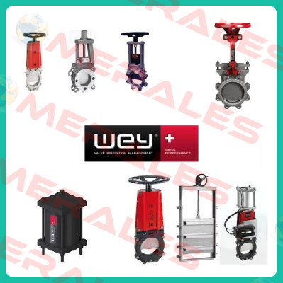 VNC 1.4408  Wey Valve