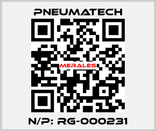 N/P: RG-000231 Pneumatech