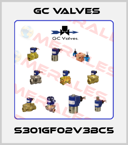 S301GF02V3BC5 GC Valves