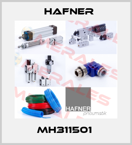 MH311501  Hafner