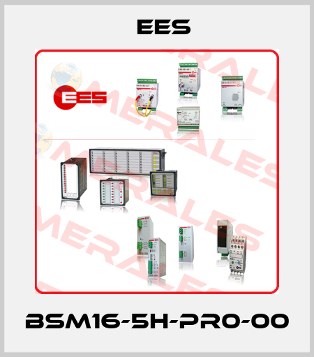 BSM16-5H-PR0-00 Ees