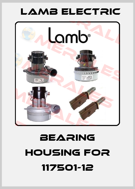 Bearing housing for 117501-12 Lamb Electric