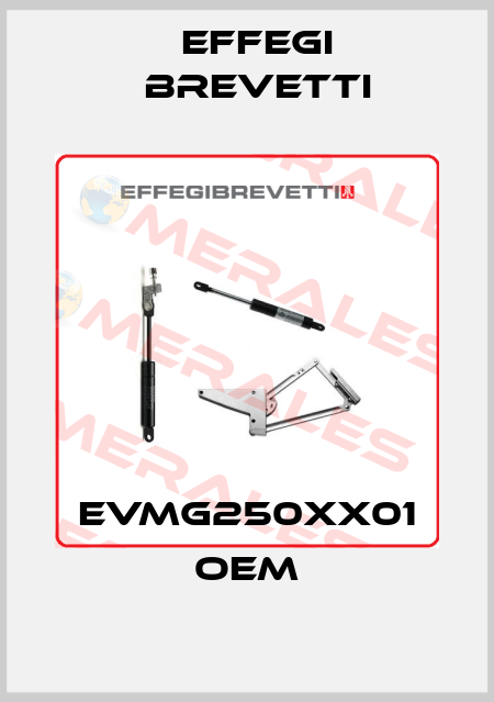 EVMG250XX01 OEM Effegi Brevetti