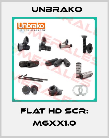 FLAT HD SCR: M6XX1.0 Unbrako