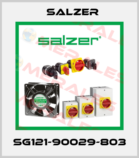 SG121-90029-803 Salzer
