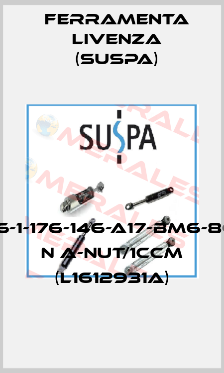 16-1-176-146-A17-BM6-80 N A-Nut/1ccm (L1612931A) Ferramenta Livenza (Suspa)