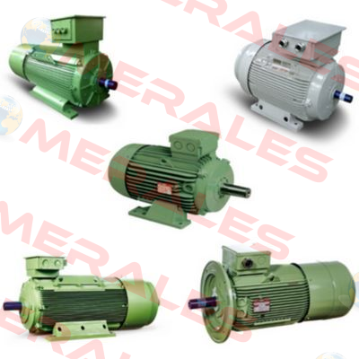 AC MOTOR  132 S 4   460/265V 60HZ B5 Fimet