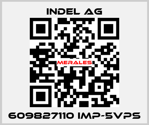 609827110 IMP-5VPS INDEL AG