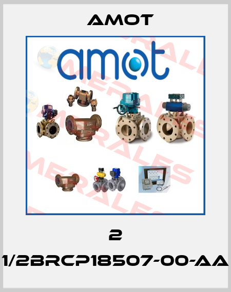 2 1/2BRCP18507-00-AA Amot